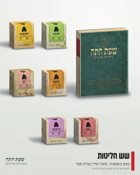המארזים, רשת, אור יום, 4:5